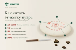 Блин пуэра в обёртке: иероглифы 云南七子饼茶, 生茶, 易武, 7542 и 2019年 с расшифровкой